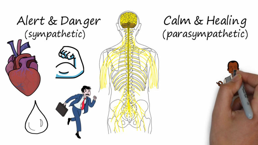 Pain is our Alarm System